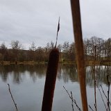 20181202 124101