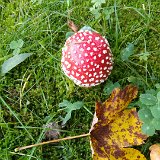20171003 155709