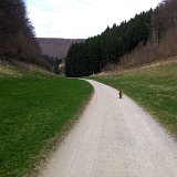 20180415 165252