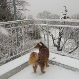 20180217 131507