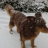 20180217 132423