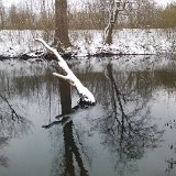 20180318 123150