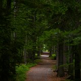 IMGP4664