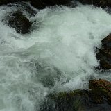 P1130552