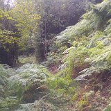 20161002 142856