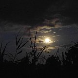 20160818 214931 HDR