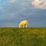 20160820 201141 HDR