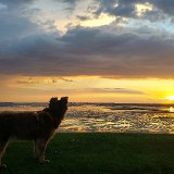20160820 203203 HDR