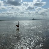P1140285