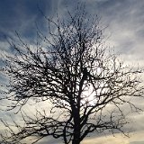 20180330 172023